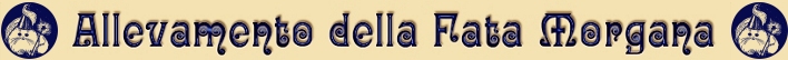 Allevamento della Fata Morgana